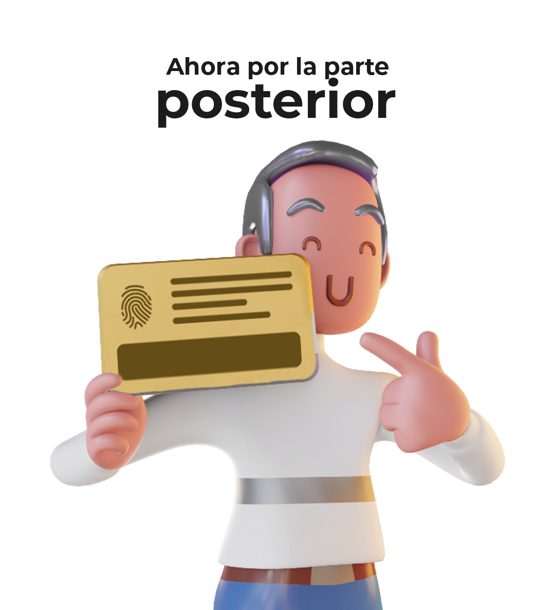 identificación parte posterior 